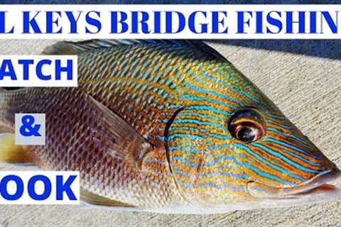 Very UNDERESTIMATED FISH  GRUNTS catch and COOK!