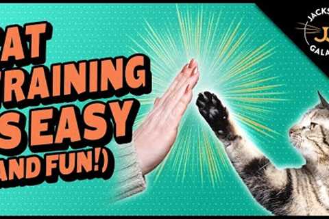 Clicker Training Your Cat is Easy and Fun!