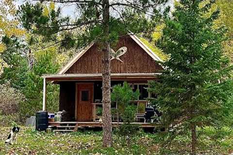 Building A Log Cabin Right From The Land: Cutting Trees And Skidding Logs
