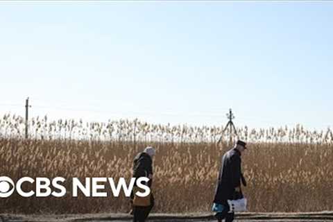 War in Ukraine exacerbates global food crisis