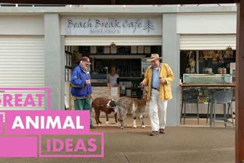 This Unlikely Animal Friendship Will Warm Your Heart! | ANIMAL | Great Home Ideas