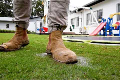 Lots of rain lately? | Water &amp; drainage issues - How to treat &amp; prevent fungal disease in..