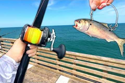 I Caught a GIANT at the End of the PIER!! (Catch and Cook)