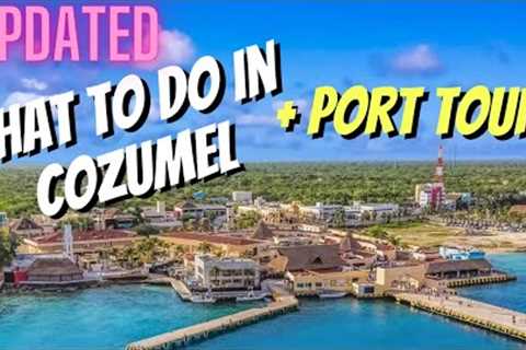UPDATED Cozumel Cruise Guide | Port Tour + Excursions