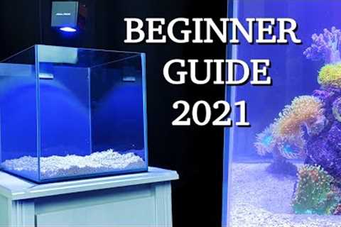 No money, no problem - REEF TANK BASICS - how to start a saltwater aquarium BEGINNER GUIDE 2021