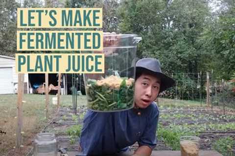 Let's Make Fermented Plant Juice