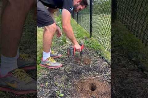 Have you ever tried this gardening hack? #gardening #shorts