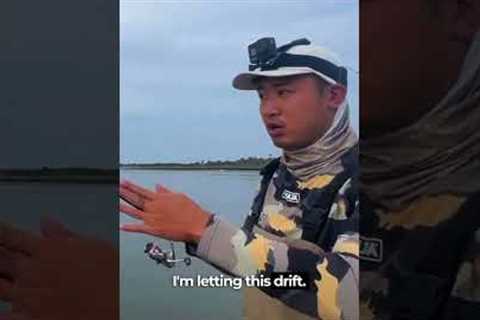 DUMMY PROOF METHOD FOR LIVE BAIT!