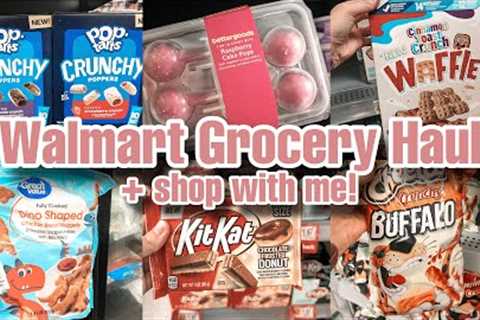 Weekly Walmart Grocery Haul + Shop With Me 2024