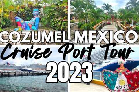 Cozumel Mexico Cruise Port 2023 Tour &amp; Should You Book A Shore Excursion?