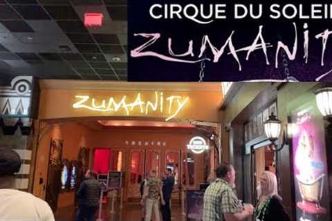 Cirque du Soleil: Zumanity (Show Review) | Las Vegas Shows