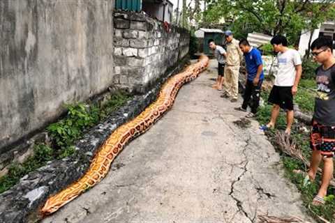 Detecting Traces Of The World's Largest Snake | Fishing TV