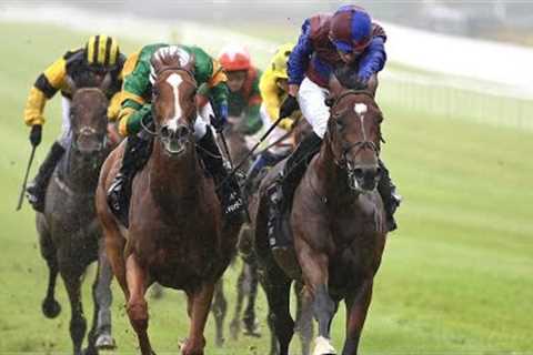 JAN BRUEGHEL outlines St Leger claims with gritty Curragh win