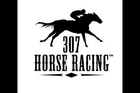 307 Horse Racing, Energy Downs, June 29 2024, Race 1 (250 Yards)