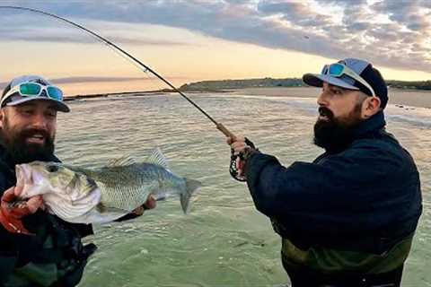 Fly Fishing For Bass In The Surf - Big Bass Smashes My Fly - SaltWater Fly Fishing - Fly Fishing Uk
