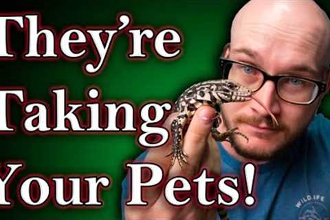 The Reptile Hobby is About To Be Banned, This Is Not A Drill!