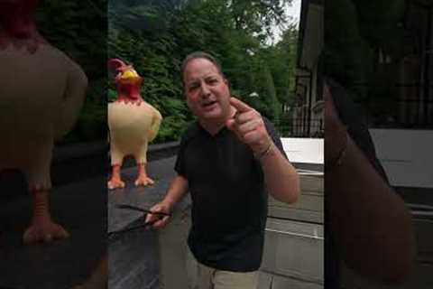 3 GRILL TIPS TO MAKE YOU A GRILL MASTER!!!
