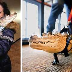 15 MOST Exotic Pets People Have