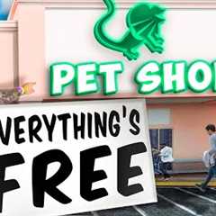 I Opened Another Free Reptile Pet Shop!