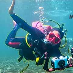 Taking my wife scuba diving in Philippines (Dauin)