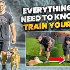 Everything You NEED To KNOW To TRAIN Your DOG!