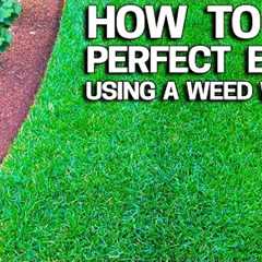 How to Get Perfect Lawn Edges with a Weed Wacker