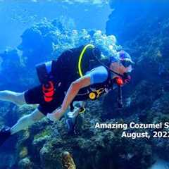 Amazing Cozumel Scuba Diving August, 2022 in 4K