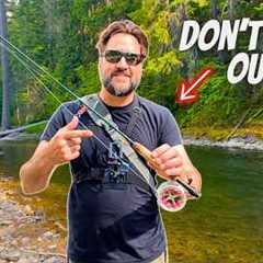 Most Fun You'll Have with a Fly Rod