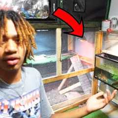 Update On My Crazy Mini Reptile Zoo!!! | Official.Merzy Vlog #222