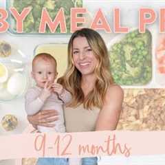 BABY FOOD MEAL PREP (9-12 MONTHS) + FREE Downloadable Guide & Recipes