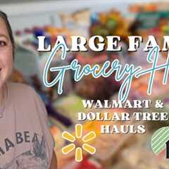 WALMART Grocery Haul  🥕 + Meal Plan | DOLLAR TREE School Supplies 😮✏️