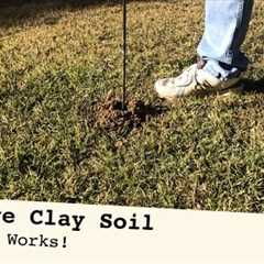 IMPROVE CLAY SOIL - 5 Step Strategy to better grass growth and drainage