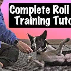 How To Teach Your Dog To Roll Over - Professional Dog Training Tips
