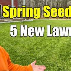Spring Seeding Lawns Spring Over Seeding