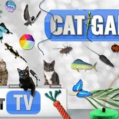 CAT Games | Ultimate Cat TV Compilation Vol 55 | 2 HOURS 🐝🐞🦋🦎🦜🐜🐭🧵