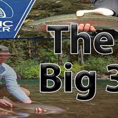 Top 3 Ways We Fly Fish In Trout Rivers + The Gear You Need
