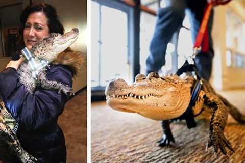 15 MOST Exotic Pets People Have