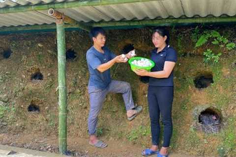 Harvest chicken eggs and sell them at the market. Make a cooling bath for the Ducks