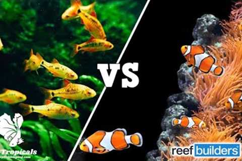 Freshwater Is BETTER Than Saltwater, Here's 10 Reasons Why