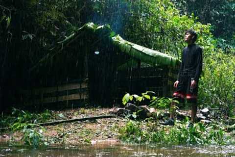 30 DAYS SOLO SURVIVAL : (NO FOOD, NO WATER ) Survival Shelter, Search Wild Food, Catch &amp; Cook