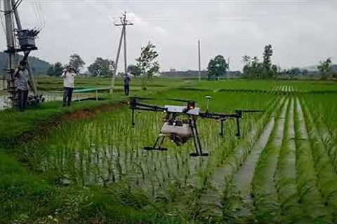 Drone Demonstration / Rice /Aerial Spray/ Agriculture Technology/ Garuda Aerospace