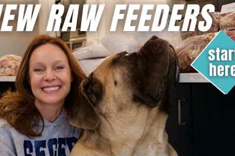 Raw Food Diet for Dogs | Starter Guide for Beginners [ LARGE DOGS]