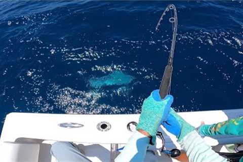 SURPRISED I Caught This BIG FISH! Offshore Jigging and Bottom Fishing