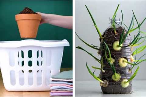14 Clever Plant Hacks That Will Really Grow on You! Blossom