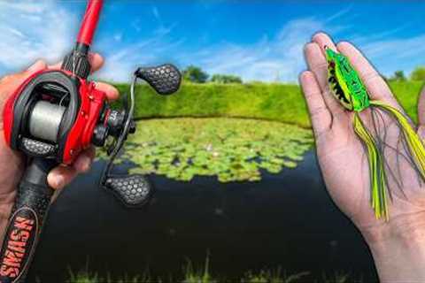 Topwater Frog Fishing for Big Bass!