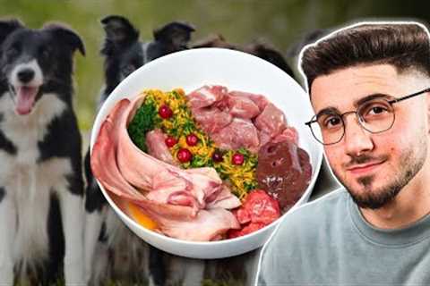 Best Raw Food Diet For Dogs | Undeniable Truths Experts Won't Tell You