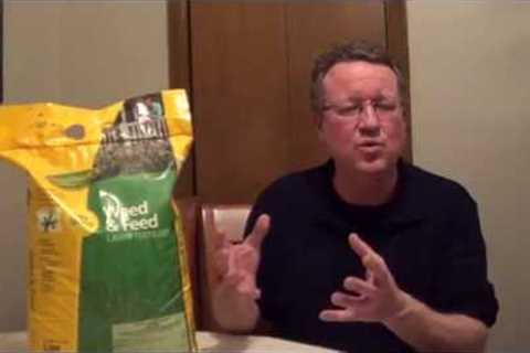 When to Apply Weed and Feed - How to Apply Weed and Feed