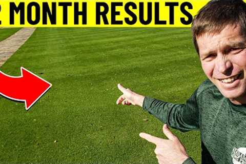Warm and Cool Season Lawn Care Schedule - Month by Month