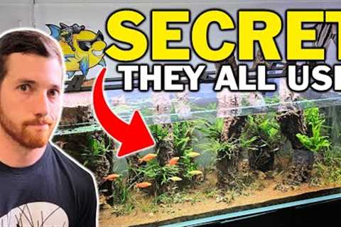 This is ACTUALLY The Method For Crazy Clear Aquarium Water...