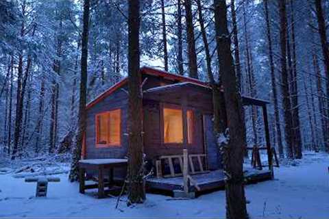 6 months building cabin in the woods, off grid house start to finish
